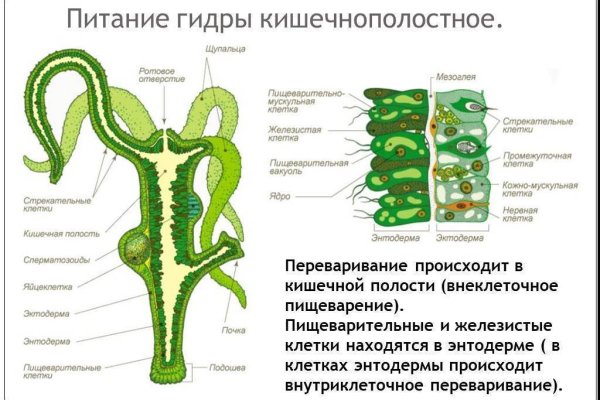 Kraken darknet официальный сайт vtor run