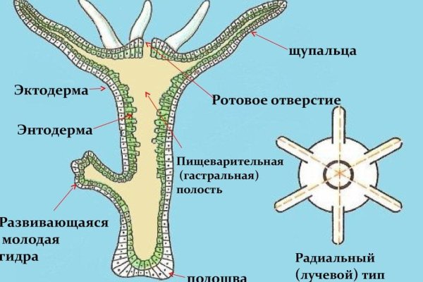Как войти на кракен