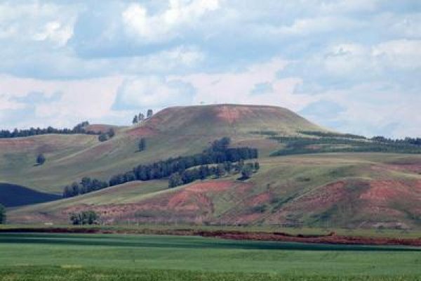 Кракен даркнет официальный