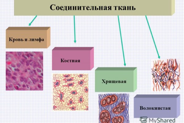 Почему не получается зайти на кракен